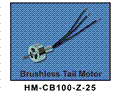 HM-CB100-Z-25 Brushless tail motor
